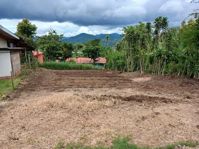 DE OPORTUNIDAD BELLA PROPIEDAD EN NARANJO, ALAJUELA. ARANJO, ALAJUELA. en Palmitos, Naranjo, Alajuela — ₡ 16 000 000