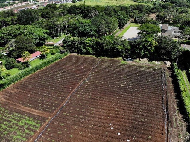 VENTA TERRERO DE DESARROLLO, ALAJUELA, SAN RAFAEL en San Rafael, Alajuela — $1,800,000