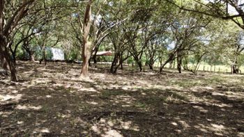 Quinta en venta Cartagena-Guanacaste en Cartagena, Santa Cruz, Guanacaste — 35 000 000 ₡ - Foto 2 de 3