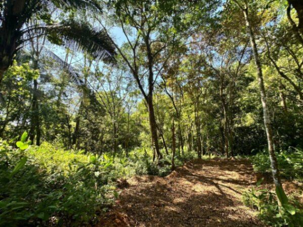  Propiedad en Venta en Playa Hermosa en Bahía Ballena, Osa, Puntarenas — $633,000