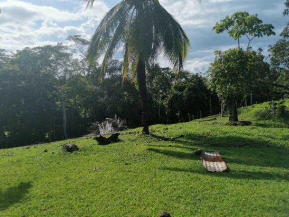 Se vende amplia finca de 180 hectáreas en Paso Real de San Carlos 23-1716 en Pocosol, San Carlos, Alajuela — $1,800,000
