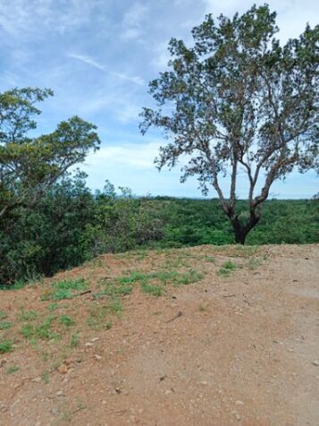 Dueño vende Quinta 6375M2 guayabo de bagaces, vista al volcán miravalles  en Mogote, Bagaces, Guanacaste — ₡ 35 000 000