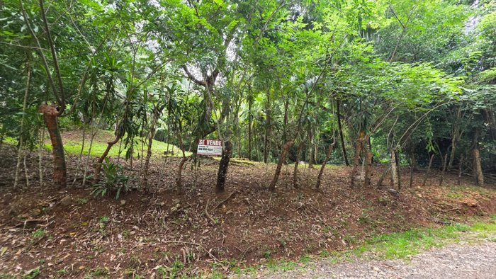 Lote con Quebrada y Bosque Natural en San Mateo | 2.506 m² in Labrador, San Mateo, Alajuela — $100,000