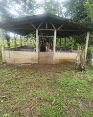 VENTA - Finca de 2.1 Ha con 2 Casas - La Naranjeña- Guatuso - EN SERVIDUMBRE in Katira, Guatuso, Alajuela — 65 000 000 ₡ - Photo 4 of 9