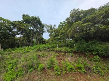 Venta de Lote en Santa Cruz de Guanacaste. RAH 26-559 in Tempate, Santa Cruz, Guanacaste — $60,000 - Photo 5 of 7