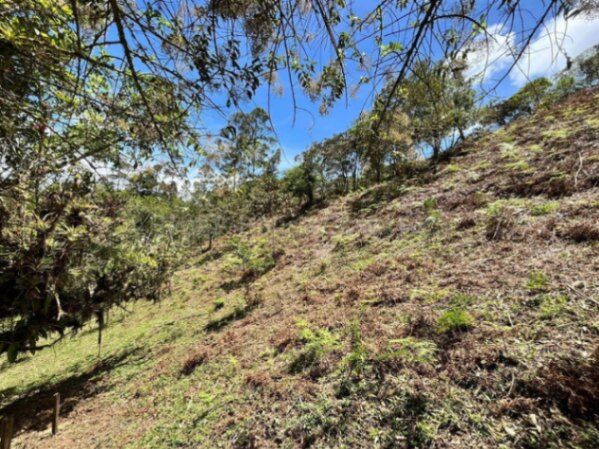 Venta de Lote en El Guarco-San Isidro. RAH 26-1829 PRECIO REBAJADO en San Isidro, El Guarco, Cartago — ₡ 100 000 000