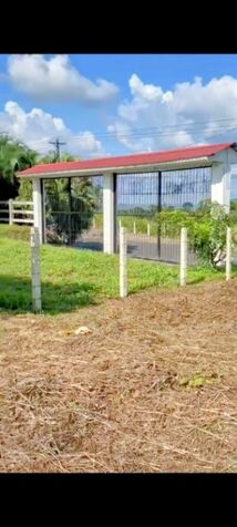 Venta de lote en la Fortuna de San Carlos en La Fortuna, San Carlos, Alajuela — ₡ 42 500 000