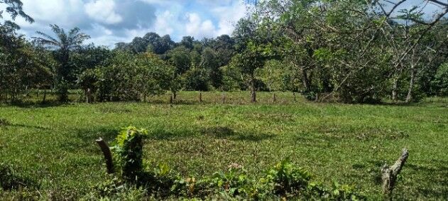 Finca en venta en Guaycará, Golfito, Puntarenas — ₡ 80 000 000