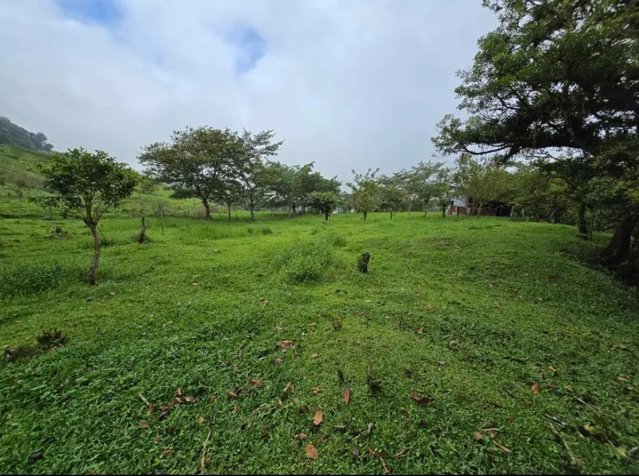 Propiedad en venta en Zarcero en Zapote, Zarcero, Alajuela — ₡ 90 000 000