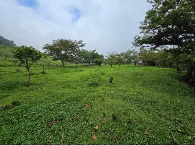 Property for sale in Zarcero in Zapote, Zarcero, Alajuela — ₡ 90 000 000