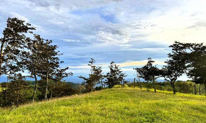 Piedades Sur Bioquintas Lote 21B in Piedades Sur, San Ramón, Alajuela — ₡ 22 500 000