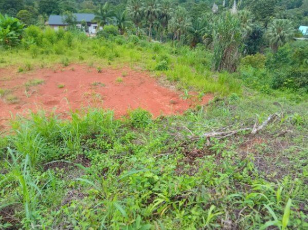 Terreno ,plano listo para construir . en Puerto Cortés, Osa, Puntarenas — $500,000