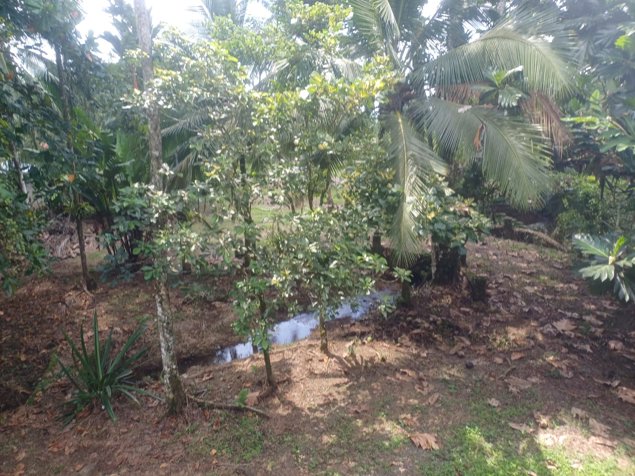 VENTA CASA, CON CESION DE DEUDA, HEREDIA, HORQUETAS, HUETARES en Las Horquetas, Sarapiquí, Heredia — ₡ 36 000 000