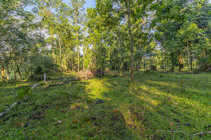 Venta de Finca en La Colonia, Guápiles en San Isidro, San Ramón, Alajuela — ₡ 185 000 000 - Foto 3 de 11