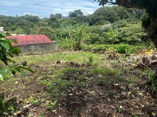 Sale - Lot of 400m2 in San Luis, Santo Domingo, Heredia in San Miguel, Santo Domingo, Heredia — 46 000 000 ₡ - Photo 4 of 5