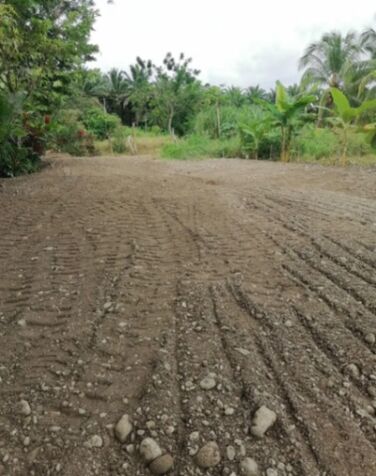 Lote en Guaycará, Golfito, Puntarenas — ₡ 500 000