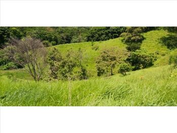 Farm For Sale Lepanto, Puntarenas, Puntarenas