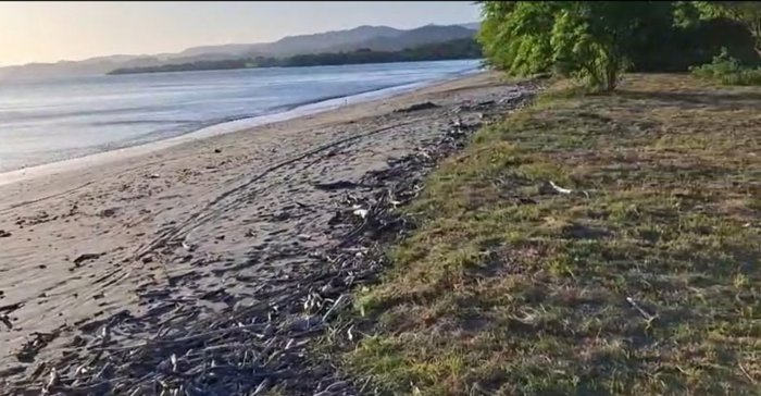 Se Vende Espectacular Finca Para Proyecto en La Cruz, Guanacaste — $35,000,000