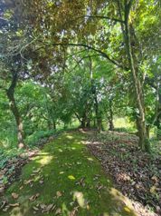Venta de Finca en Orotina in Orotina, Alajuela — $443,470 - Photo 3 of 11