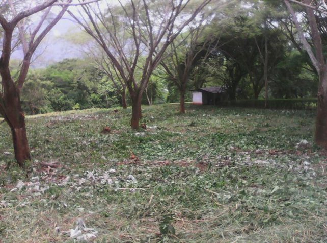 Terreno para quinta en Orotina, 6800m2 en Orotina, Alajuela — $136,000 - Foto 2 de 4