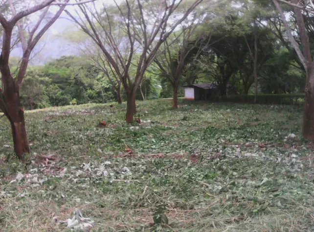 Terreno para quinta en Orotina, 6800m2 in Orotina, Alajuela — $136,000 - Photo 2 of 4