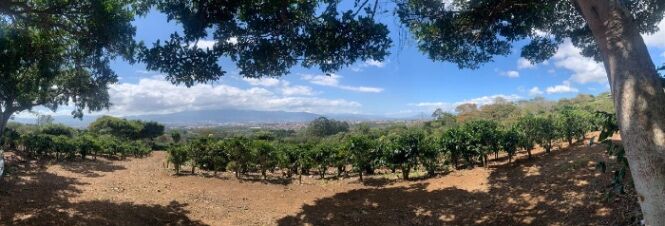 Oportunidad única: Venta de Finca con vistas panorámicas y uso comercial en San Rafael, Heredia en Concepción, San Rafael, Heredia — $5,770,931