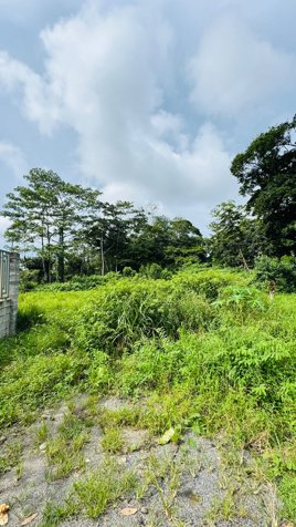 🌿 TERRENO EN VENTA EN BUENOS AIRES – CALLE LOS LAURELES in Guápiles, Pococí, Limón — ₡ 35 000 000 - Photo 3 of 4