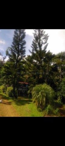 MLS-26-1955 LS VENTA FINCA RIO CUARTO GRECIA CONTACTENOS AL # 86127562 en Grecia, Alajuela — $1,050,000