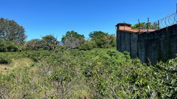 VENTA TERRENO DE DESARROLLO, HEREDIA, SANTO TOMAS, SANTO DOMINGO en Santo Tomás, Santo Domingo, Heredia — $6,974,000 - Foto 5 de 12