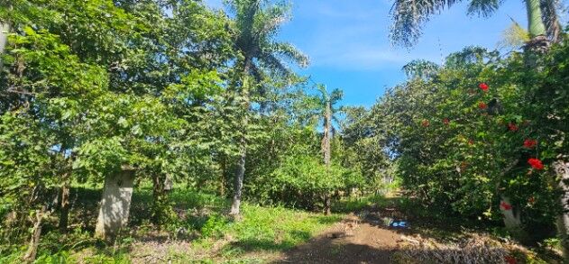 Lote para construir en San Pedro de Santa Cruz,  Guanacaste  en Santa Cruz, Guanacaste — ₡ 32 000 000
