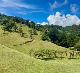 VENTA - Finca de 17 Hectáreas -  CARTAGO- PRECIO NEGOCIABLE en Patio De Agua, El Guarco, Cartago — 262 500 000 ₡ - Foto 4 de 36