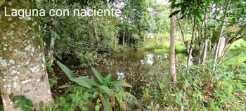 Se vende, finca, San Luis Upala -Guatuso Katira en Katira, Guatuso, Alajuela — $720,000 - Foto 5 de 29