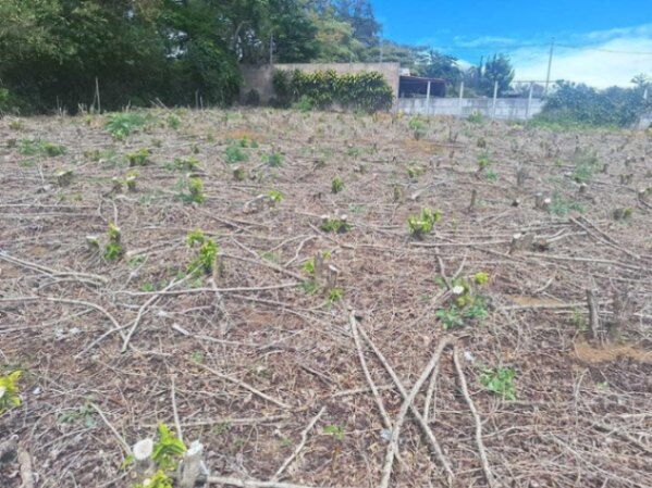 Venta de Lote en Barva-San Pablo-Heredia. RAH 26-1343 PRECIO REBAJADO en San Pablo, Barva, Heredia — ₡ 142 000 000