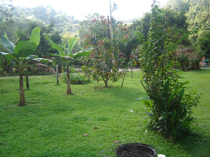 VENTA DE FINCA, USO MIXTO, PUNTARENAS, CIUDAD NEILLY, CORREDORES en Puntarenas — $125,000