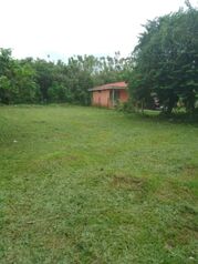 SE VENDE CASA Y APARTAMENTO EN RÍO FRÍO, SARAPIQUÍ.  en Las Horquetas, Sarapiquí, Heredia — 21 000 000 ₡ - Foto 4 de 5