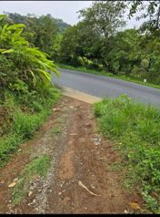 Propiedad en venta en Zarcero en Zapote, Zarcero, Alajuela — 90 000 000 ₡ - Foto 2 de 10