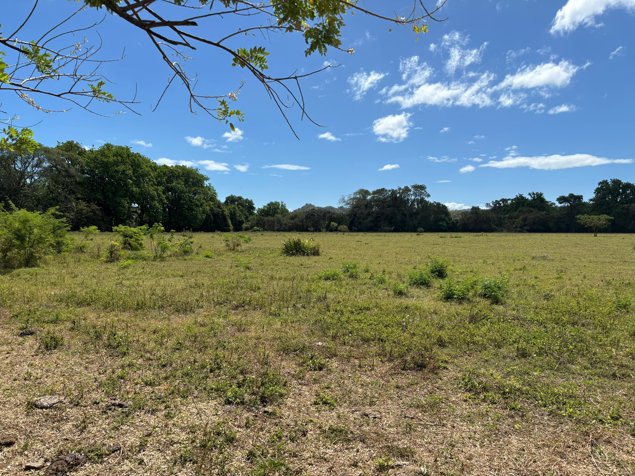 Lote en Venta en Guanacaste, Sardinal de Carrillo 5PDN9535816 in Sardinal, Carrillo, Guanacaste — $1,130,000 - Photo 3 of 7
