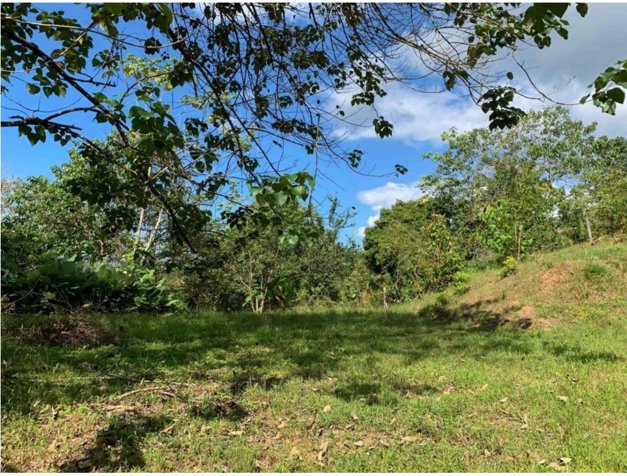 👁INVESTMENT OPPORTUNITY IN UVITA.🌴 in Bahía Ballena, Osa, Puntarenas — $475,000 - Photo 3 of 15