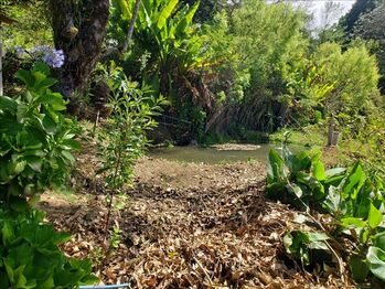 Finca con cabaña en Trinidad de Dota - San José in Santa María, Dota, San José — $250,000 - Photo 5 of 7