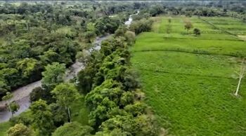 SE VENDE BELLA FINCA EN GUATUSO, SAN CARLOS.  en Aguas Zarcas, San Carlos, Alajuela — 500 000 000 ₡ - Foto 5 de 20