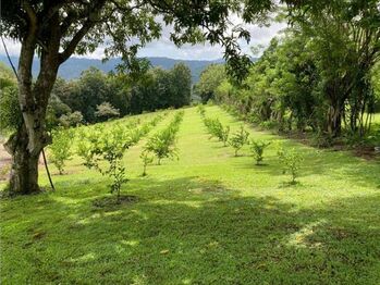 Land For Sale Tárcoles, Garabito, Puntarenas