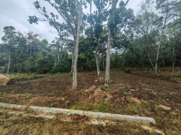 "¡Oportunidad Única! Venta de Propiedad Exclusiva en San Marcos de Tarrazú. in San Marcos, Tarrazú, San José — ₡ 40 000 000