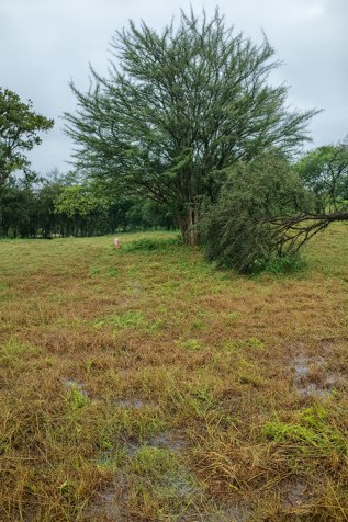 Lotes en Venta – Proyecto Cascada con Acceso Privado a Catarata in Bagaces, Guanacaste — $22,000 - Photo 3 of 7