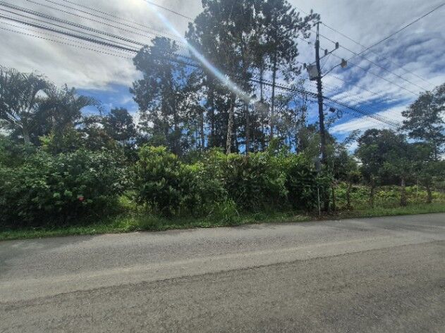 HERMOSA PROPIEDAD DE MÁS DE 1 ACRE, TERRENO PLANO Y QUEBRADA EN MIRAFLORES, PÉREZ ZELEDÓN in San Isidro De El General, Pérez Zeledón, San José — $54,000