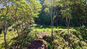 SE VENDE TERRENO CON CLIMA FRESCO Y PRIVACIDAD EN GUADALUPE DE RIVAS en Rivas, Pérez Zeledón, San José — $115,000 - Foto 4 de 7