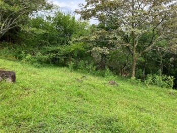 Atenas, Alajuela, Costa Rica, la plusvalía crece día a día: 3 hectáreas con frente a calle asfaltada en San Pablo, Turrubares, San José — $1,000,000 - Foto 4 de 29