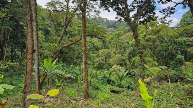 Venta de Lote en La Unión-Dulce Nombre. RAH 26-833 INVERSIÓN en Dulce Nombre, La Unión, Cartago — $595,000