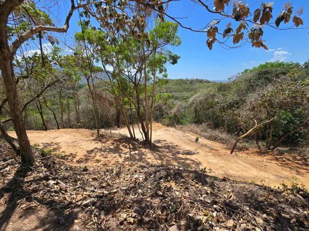 Venta de Quinta con Bosque Primario No 115 en San Pedro, Turrubares, San José — ₡ 38 000 000 - Foto 2 de 4