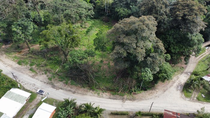 SE VENDE LOTE PLANO EN QUITO, LIVERPOOL, LIMON COSTA RICA en Limón — ₡ 7 000 000 - Foto 3 de 14