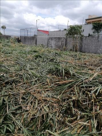 Terreno amplio Mercedes Norte Heredia in Mercedes, Heredia — ₡ 99 500 000